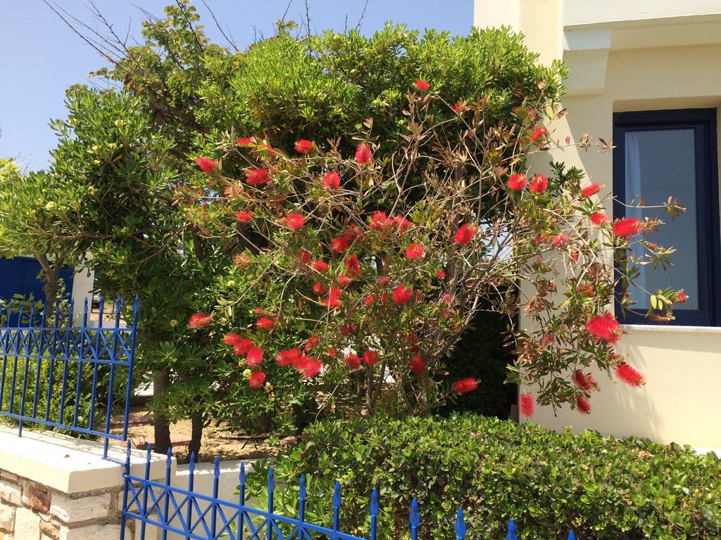 Sea Breeze Apartments Chios Monolia Exteriör bild